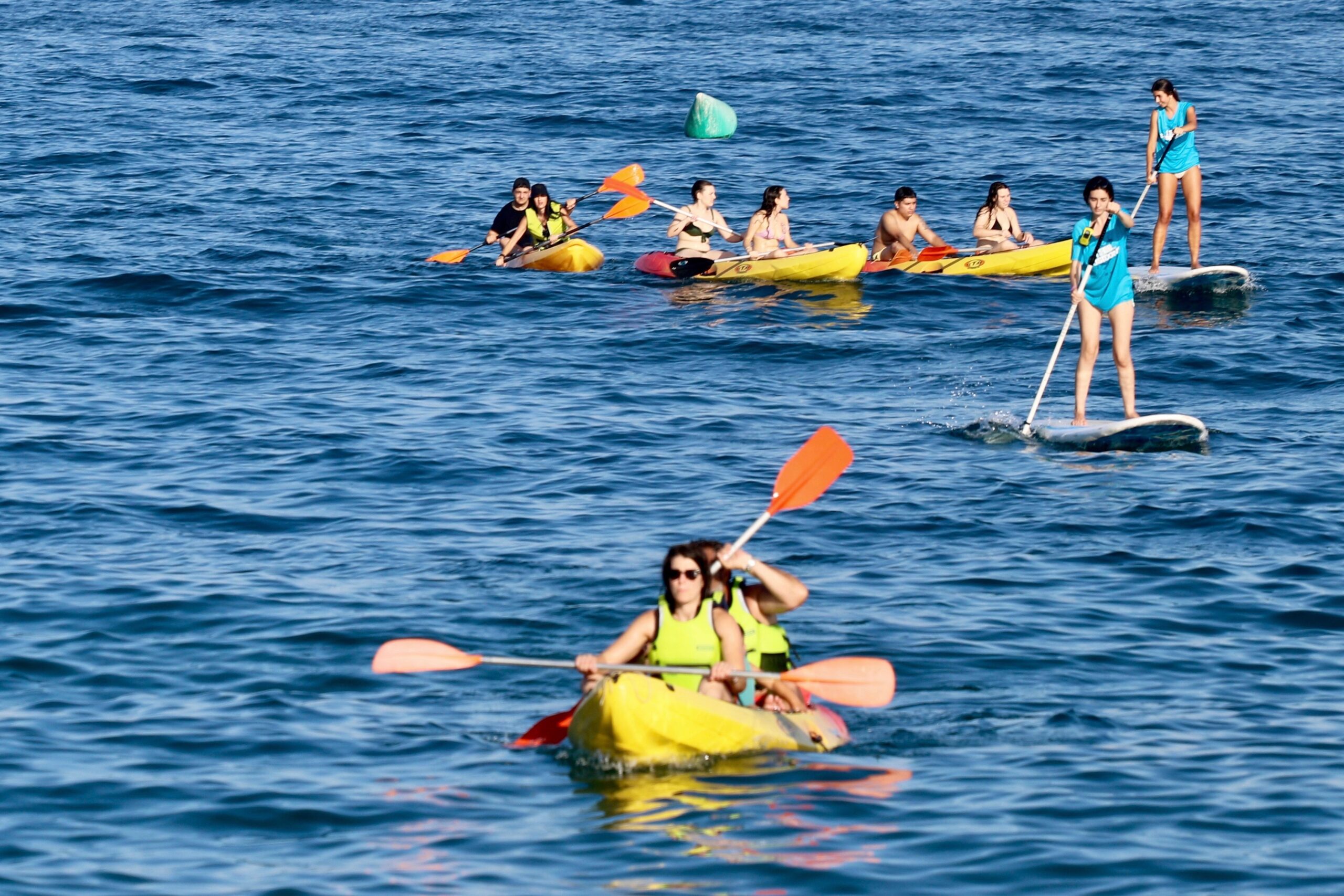 Roquetas de Mar cierra la VI Semana de la Posidonia 3
