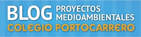 Blog Colegio Portocarrero