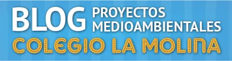 Blog pm Colegio la Molina