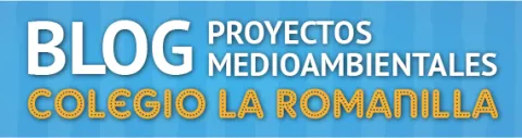 BLog pm Colegio la Romadilla