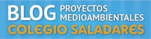 BLog pm Colegio la Saladares