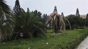 Parques y Jardines Roquetas de Mar 2